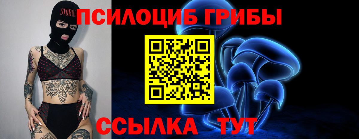 Галлюциногенные грибы ЛСД  Галлюциногенные грибы мухоморы  Спасск-Дальний  Вход с VPN 